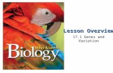 Lesson Overview 17.1 Genes and Variation. Lesson Overview Lesson Overview Genes and Variation Genetics Joins Evolutionary Theory How is evolution defined.
