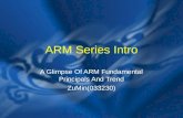 ARM Series Intro A Glimpse Of ARM Fundamental Principals And Trend ZuMin(033230)