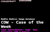 MedPix Medical Image Database COW - Case of the Week Case Contributor: Yuqi Mao Affiliation: SUNY at Buffalo.