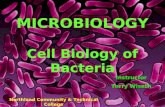 MICROBIOLOGY Cell Biology of Bacteria Northland Community & Technical College Instructor Terry Wiseth.
