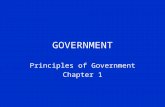 GOVERNMENT Principles of Government Chapter 1 Government Government – institution that makes & enforces public policy.