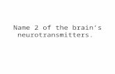 Name 2 of the brain’s neurotransmitters.. What is serotonin and dopamine?