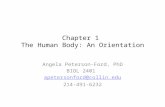 Chapter 1 The Human Body: An Orientation Angela Peterson-Ford, PhD BIOL 2401 apetersonford@collin.edu 214-491-6232.