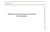 Biological and Chemical Conversion Technologies Chapter 14.