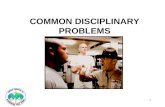 1 COMMON DISCIPLINARY PROBLEMS. 2 Categories Unique military offenses Absence from duty Disrespect to a officer Orders violations Offenses not unique.