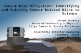 LSST CD-1 Review SLAC, Menlo Park, CA November 1 - 3, 20111 SDW2013 Florence, ItalyOctober 11, 2013 1 Sensor Risk Mitigation: Identifying and Retiring.