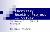 Chemistry Reading Project -- Silver 3D Group 6 : LIN Lok Kwan(28) NG Wing Yan(29) NG Yim Hung(30) WONG Hoi Ki (33)
