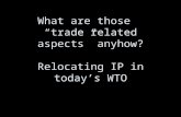 What are those “trade related aspects” anyhow? Relocating IP in today’s WTO.