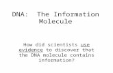 DNA: The Information Molecule How did scientists use evidence to discover that the DNA molecule contains information?
