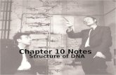 Chapter 10 Notes Structure of DNA. DNA is Made up repeating units of nucleotides Three parts of a Nucleotide are: 1. Deoxyribose sugar 2. Phosphate group.