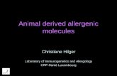 Animal derived allergenic molecules Christiane Hilger Laboratory of Immunogenetics and Allergology CRP-Santé Luxembourg.
