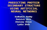 PREDICTING PROTEIN SECONDARY STRUCTURE USING ARTIFICIAL NEURAL NETWORKS Sudhakar Reddy Patrick Shih Chrissy Oriol Lydia Shih.