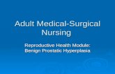 Adult Medical-Surgical Nursing Reproductive Health Module: Benign Prostatic Hyperplasia.