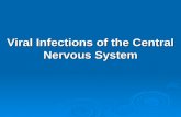 Viral Infections of the Central Nervous System.