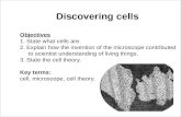Cell Structure and Function Links on Cell Theory Click the SciLinks button for links on the cell theory. - Discovering Cells Discovering cells Objectives