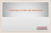 Overview of the cell structure Overview of the cell structure