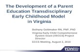 The Development of a Parent Education Transdisciplinary Early Childhood Model in Virginia Bethany Geldmaker RN, PNP, PhD Virginia Early Child Comprehensive.