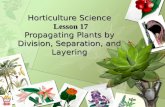 Horticulture Science Lesson 17 Propagating Plants by Division, Separation, and Layering.