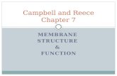 MEMBRANE STRUCTURE & FUNCTION Campbell and Reece Chapter 7.