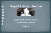 Produced and approved by the TICA Ragdoll Breed Committee and breeding community 2014.