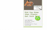 Did You Know that Plants Get Sick Too? Jon Daniels Oklahoma State University, Entomology & Plant Pathology.