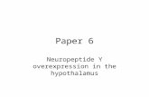 Paper 6 Neuropeptide Y overexpression in the hypothalamus.