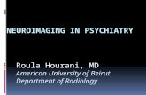 Roula Hourani, MD American University of Beirut Department of Radiology.