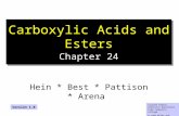 1 Carboxylic Acids and Esters Chapter 24 Hein * Best * Pattison * Arena Colleen Kelley Chemistry Department Pima Community College © John Wiley and Sons,