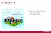 Chapter 4 Social Structure and Social Interaction