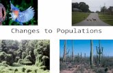 Changes to Populations. 4 factors that effect the size of a population Increase Population –1) Birth –2) Immigration (entering a population) Decrease.