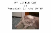 MY LITTLE CAT or Research in the UK WP. Why “My Little Cat”? “My Little Cat” is a grabber intro. This is the second item in a bullet list. My cat does.