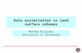 Data assimilation in land surface schemes Mathew Williams University of Edinburgh.