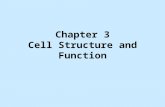 Chapter 3 Cell Structure and Function. Eukaryotic Cell Structure