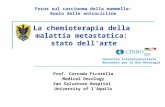 Focus sul carcinoma della mammella: Ruolo delle antracicline La chemioterapia della malattia metastatica: stato dell'arte Prof. Corrado Ficorella Medical.