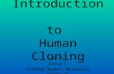 Introduction to Human Cloning TIP 2 Group C CLFS620 Modern Molecular Genetics.