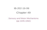 Chapter 49 Sensory and Motor Mechanisms (pp 1045-1062) IB-202-16-06.