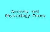 Anatomy and Physiology Terms. Intro. to Anatomy and Physiology.
