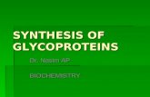 SYNTHESIS OF GLYCOPROTEINS Dr. Nasim AP BIOCHEMISTRY.