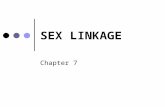 SEX LINKAGE Chapter 7. Characters which are associate more with one gender Characters associated with gender, ex : Anhiorotic ectodermal dysplasia Small.