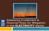 Assessing Investment & Financial flows for Mitigation in the ELECTRICITY Sector UNDP I&FF Methodology Guidebook: Mitigation.