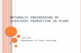 M ETABOLIC ENGINEERING OF ALKALOIDS PRODUCTION IN PLANT Juan Pan Department of Plant Pathology.