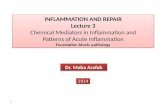 1 INFLAMMATION AND REPAIR Lecture 3 Chemical Mediators in Inflammation and Patterns of Acute Inflammation Foundation block: pathology INFLAMMATION AND.