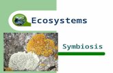 Symbiosis Ecosystems. Symbiosis Symbiosis is a close relationship between two species where at least one species benefits.