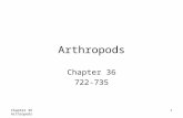 Chapter 36 Arthropods1 Arthropods Chapter 36 722-735.