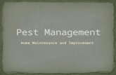 Home Maintenance and Improvement. Discuss common pests in the home Identify the effective pest control programs Discuss the Project each group is going.