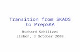 Transition from SKADS to PrepSKA Richard Schilizzi Lisbon, 3 October 2008.