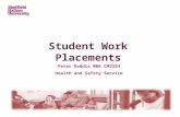Student Work Placements Peter Roddis MBA CMIOSH Health and Safety Service.