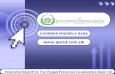 C LOGO A FARMER FRIENDLY BANK  Internship Report On The Punjab Provincial Co-operative Bank Ltd.