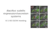 Bacillus subtilis expression/secretion systems 6-1-08 iGEM meeting.