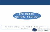 Write down what you know about the human genome project.